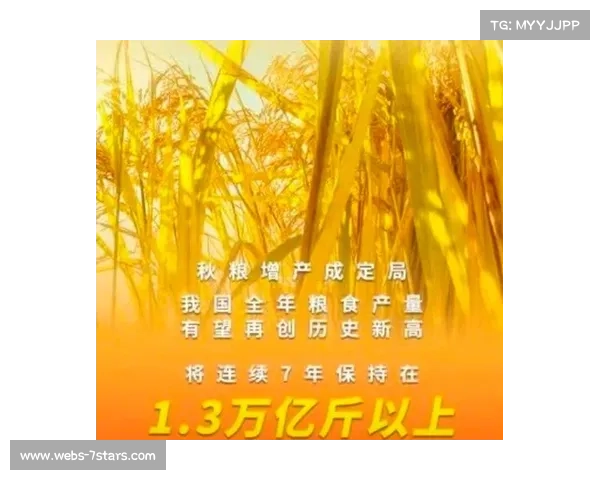 全国粮食产量1.43万亿斤，在去年高基数上再创新高